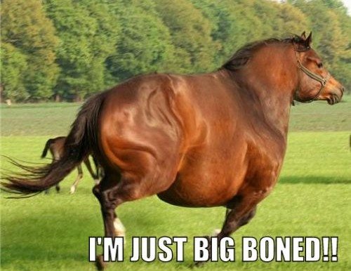 big boned horse
