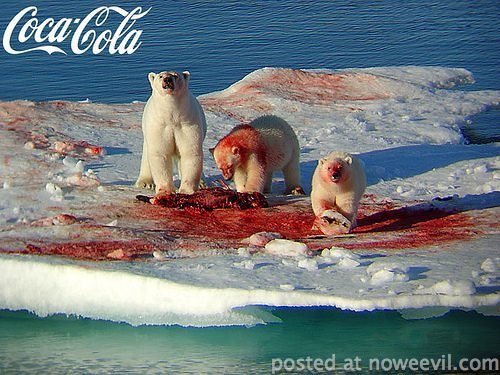 coca cola polar bears
