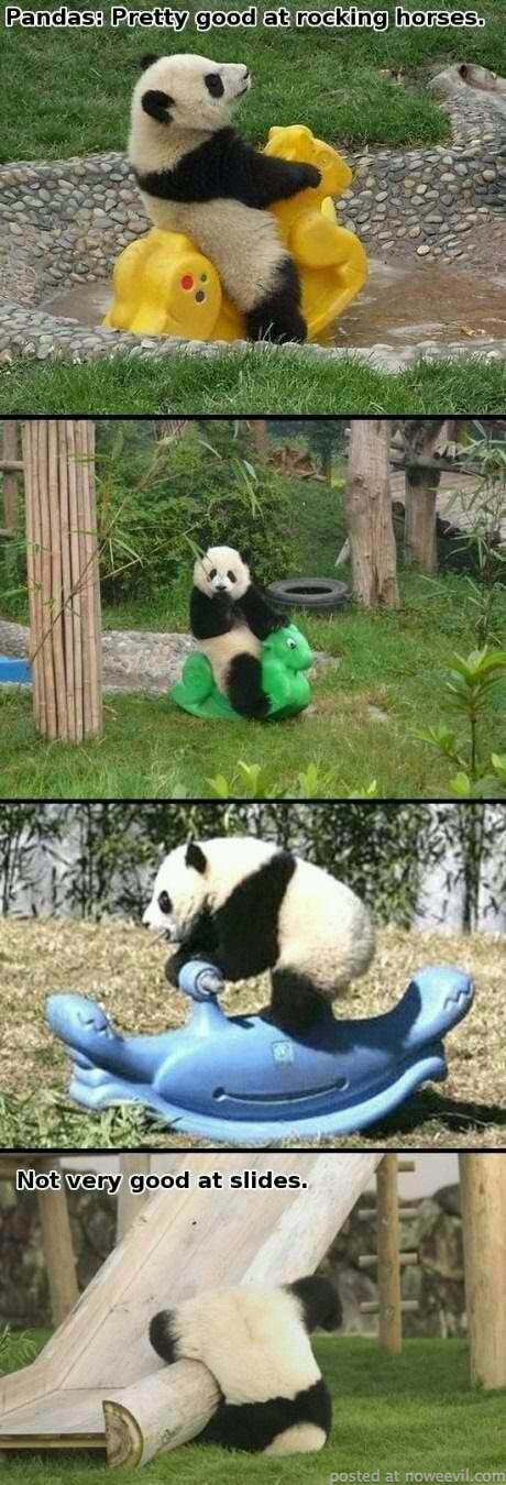 pandas and slides