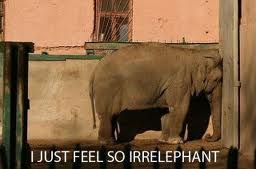 sad elephant