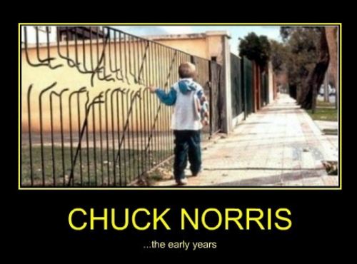 chuck norris early years
