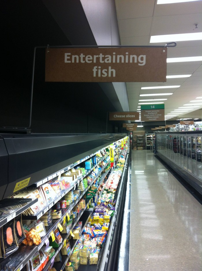entertaining fish