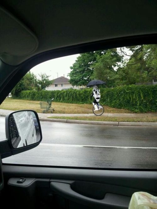 storm trooper uni