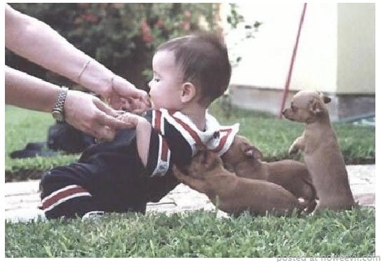 dogs helping kid up