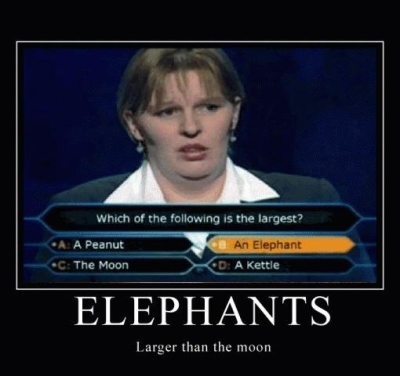 elephant milionaire question