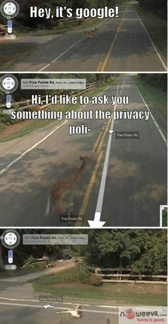 google deer