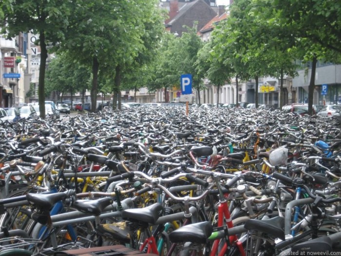 lots of bikes