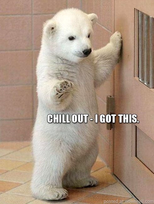 polar bear chill out