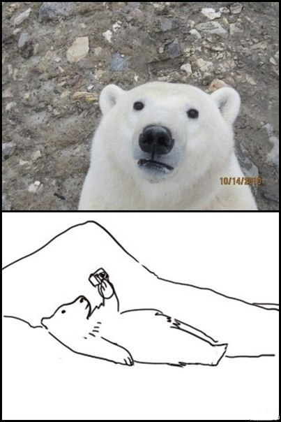 polar bear taking self portrait