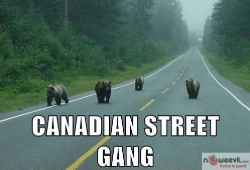 canadian street gang