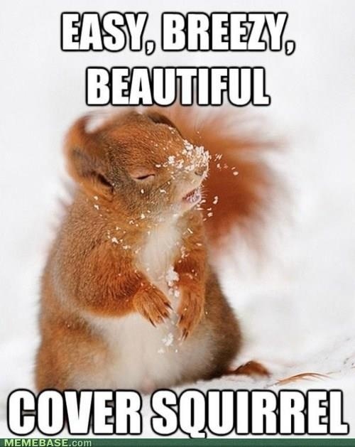 cover squirrel