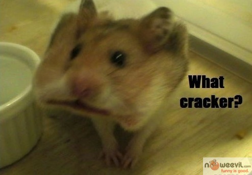 what cracker