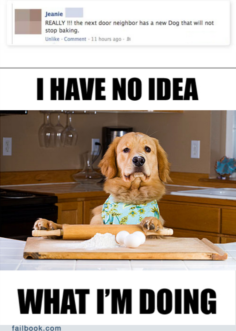 baking dog