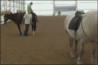 horse kick gif